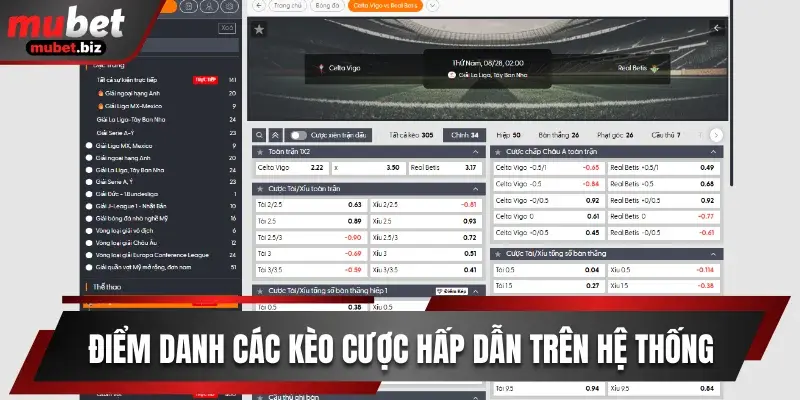 Điểm danh các kèo cược hấp dẫn trên hệ thống
