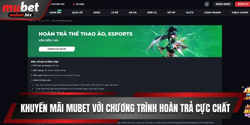 Khuyến mãi Mubet với chương trình hoàn trả cực chất